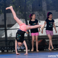 Hit refresh if image not shown