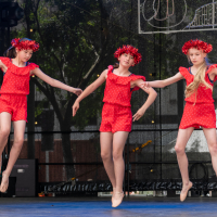 Hit refresh if image not shown