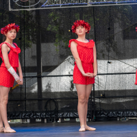 Hit refresh if image not shown