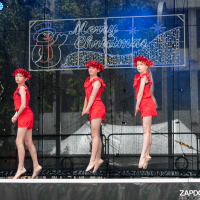 Hit refresh if image not shown