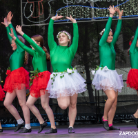 Hit refresh if image not shown