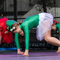 Hit refresh if image not shown