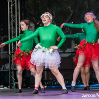 Hit refresh if image not shown