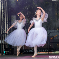 Hit refresh if image not shown