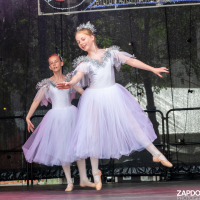 Hit refresh if image not shown