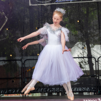 Hit refresh if image not shown