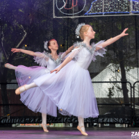 Hit refresh if image not shown