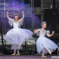 Hit refresh if image not shown