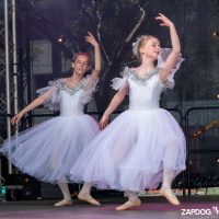 Hit refresh if image not shown