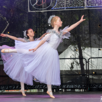 Hit refresh if image not shown