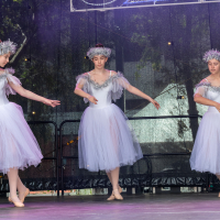 Hit refresh if image not shown