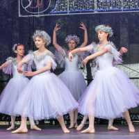 Hit refresh if image not shown