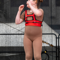 Hit refresh if image not shown