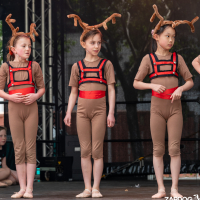 Hit refresh if image not shown