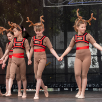 Hit refresh if image not shown