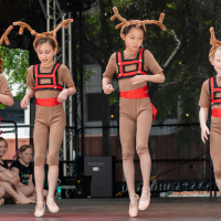 Hit refresh if image not shown