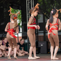 Hit refresh if image not shown