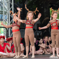 Hit refresh if image not shown