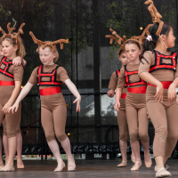 Hit refresh if image not shown