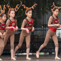 Hit refresh if image not shown