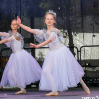 Hit refresh if image not shown