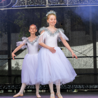 Hit refresh if image not shown