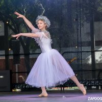 Hit refresh if image not shown