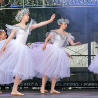 Hit refresh if image not shown