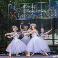 Hit refresh if image not shown