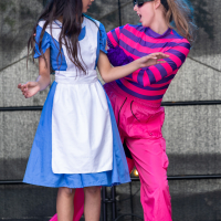 Hit refresh if image not shown