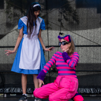 Hit refresh if image not shown