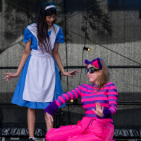 Hit refresh if image not shown