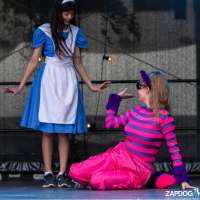 Hit refresh if image not shown