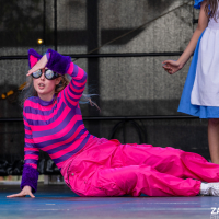 Hit refresh if image not shown