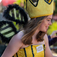 Hit refresh if image not shown