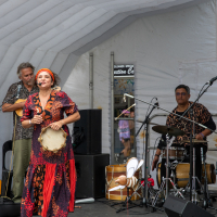 Hit refresh if image not shown