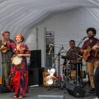 Hit refresh if image not shown