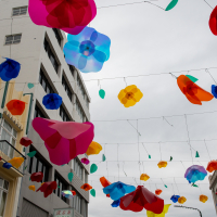 Hit refresh if image not shown