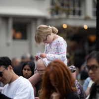 Hit refresh if image not shown