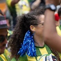 Hit refresh if image not shown