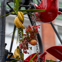 Hit refresh if image not shown