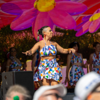 Hit refresh if image not shown