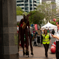 Hit refresh if image not shown