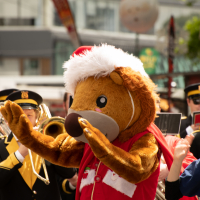 Hit refresh if image not shown