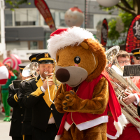 Hit refresh if image not shown