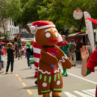 Hit refresh if image not shown