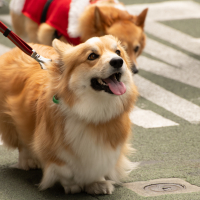 Hit refresh if image not shown