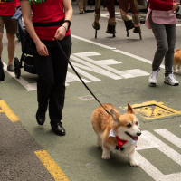 Hit refresh if image not shown