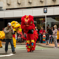 Hit refresh if image not shown