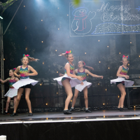 Hit refresh if image not shown